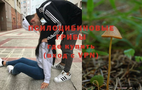 мет Алексин