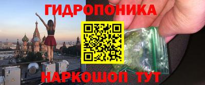 стаф Канаш