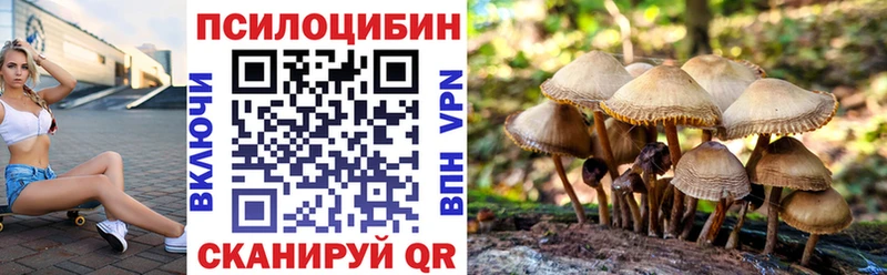 MEGA как зайти Лесосибирск площадка официальный сайт Псилоцибиновые грибы Cubensis