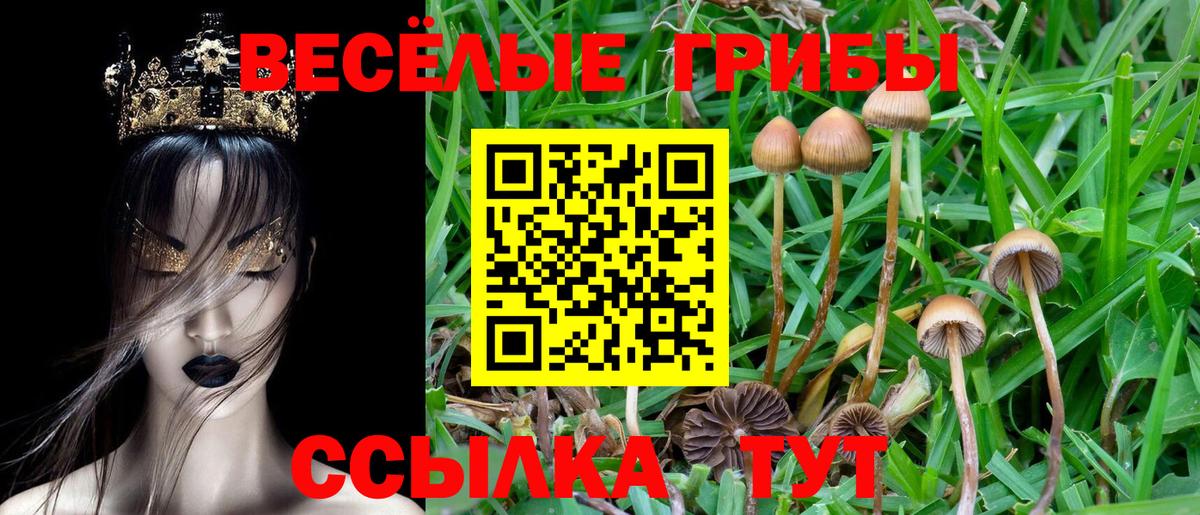 Псилоцибиновые грибы Psilocybine cubensis  Галлюциногенные грибы Psilocybine cubensis  Лесосибирск  Вход с VPN 