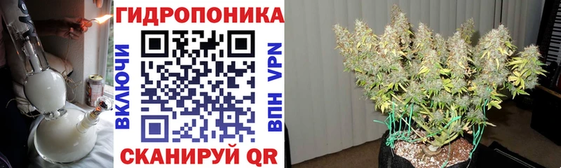 kraken как зайти  Лесосибирск  Канабис MAZAR 